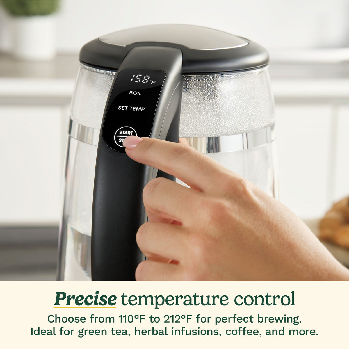 ClearTemp 1.7L Glass Kettle | Cuisinart Appliances