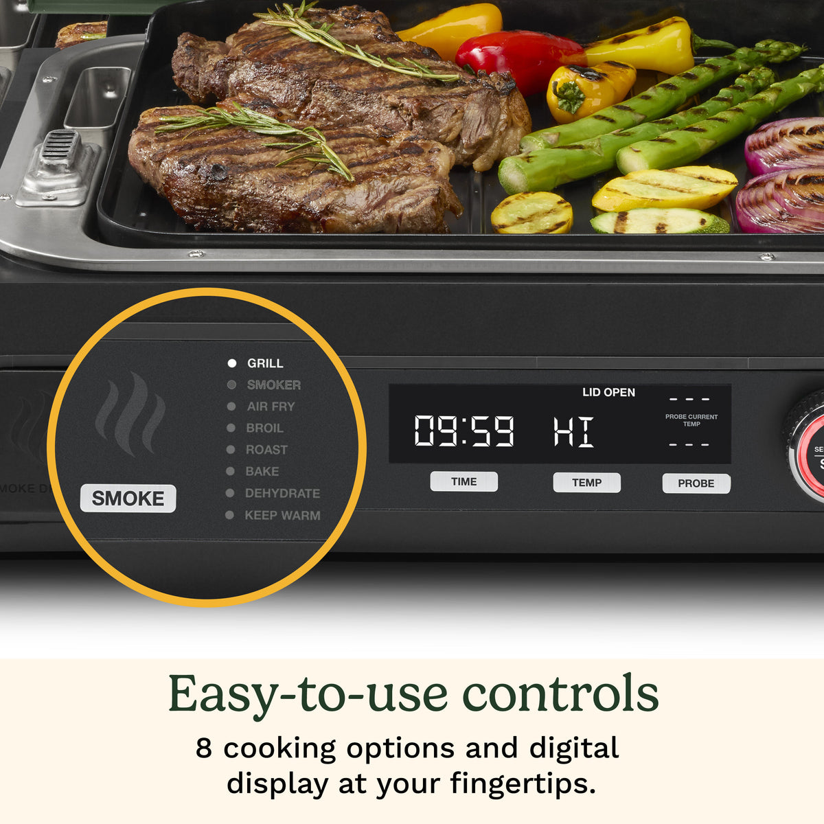 Flavorboost™ 8-in-1 Outdoor Electric Grill – Cuisinart | Cuisinart Outdoors