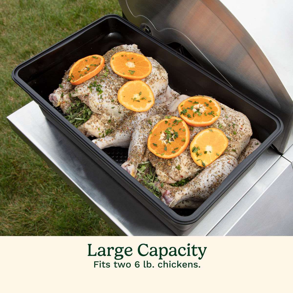 XL Collapsible Marinade Container | Cuisinart Outdoors